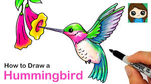 How To Draw A Hummingbird Youtube Beautiful vector seamless back with lily flowers and birds. how to draw a hummingbird