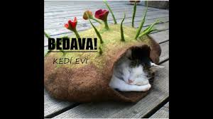 Bedava Kedi Evi Yapmak Youtube
