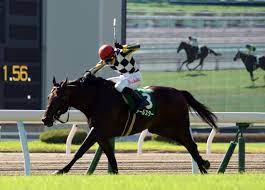 Maybe you would like to learn more about one of these? å°å€‰è¨˜å¿µ 10ç•ªäººæ°—ã‚¢ãƒ¼ãƒ«ã‚¹ã‚¿ãƒ¼ãŒé‡è³žåˆï½– é•·å²¡ã‚‚é‡è³žåˆåˆ¶è¦‡ ç«¶é¦¬ãƒ‹ãƒ¥ãƒ¼ã‚¹ Netkeiba Com