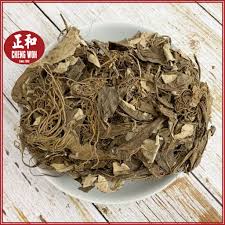 Image result for Gerbera piloselloides