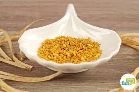 Fenugreek has been used in alternative medicine to treat heartburn, high cholesterol, weight loss, upset stomach, constipation, hardening of the arteries (atherosclerosis), gout, sexual problems, fever, baldness, to increase the production of breast milk, and other conditions. How To Plant Grow And Harvest Fenugreek Seeds In Your Garden Fab How