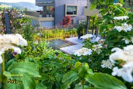 Gerne mit link oder kurzbeschreibung des kontextes, in welchem der begriff eine rolle gespielt hat. Naturgarten Auf Augenhohe Natural Garden On Eye Level In 2020 Naturgarten Garten Natur