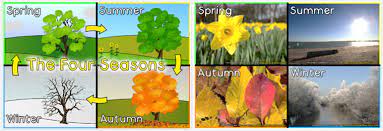 Usually they prefer sunny and warm weather. Seasons Year 4 Blog Hill Mead Primary School