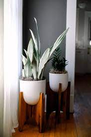 Arches Standing Planters West Elm Planter Bathroom Plants Plant Decor