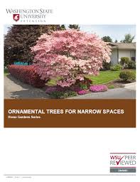 Check out these facts and more. Wsu Extension Publications Ornamental Trees For Narrow Spaces Home Garden Series