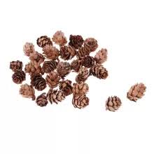 We are proud to offer some of the best. Dried Flowers Bulk Buy Dried Flowers Bulk With Free Shipping On Aliexpress