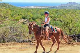 Everyone is spread out and can get to know each other along the way. The Best Horseback Riding In Los Cabos Wild Canyon