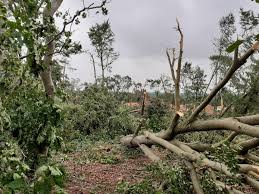 De verbijstering in leersum is groot na de verwoestende storm die vrijdagmiddag door het dorp trok. Sckvrisap4lw5m