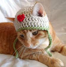 Hats For Cats Crochet Cat Hat Pet Cat Love Hat Everyday Cat Hat Valentines Day Hat For Cats Crochet Cat Hat Crochet For Cats Crochet Cat
