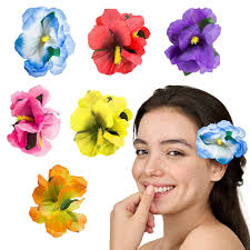 Amazon.com : Super Z Outlet Hula Girl Hibiscus Color Assorted Flower Island  Theme Hair Clips Event Decoration Supplies (12 Pack) : Beauty & Personal  Care