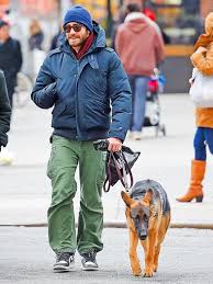 Social Media Management Dashboard Hootsuite Celebrity Dogs German Sheperd Dogs Man And Dog
