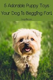 5 Adorable Puppy Toys Your Dog Is Begging For Dog Walking Dog Friendly Holidays Dog Friends