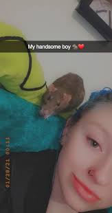 ❤️ Ratdog ❤️ this tour was already a decade ago... tiphz threads  Www.tiphzthreads.com