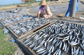 Maybe you would like to learn more about one of these? Nestapa Dugaan Fee Proyek Dinas Perikanan Banyuwangi Rp 800 Juta Ringtimes Banyuwangi