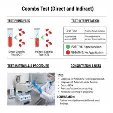 Image result for Indirect Coombs