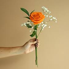 Another trending choice is a long stem large calla lily. Single Stem Rose Bouquet Fiftyflowers Com