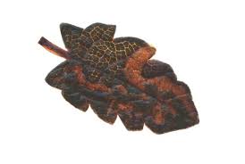 Image result for Stigmella dryadella