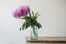 1 tip for someone who wants to preserve their flowers is to decide what way will be most practical. Cut Flower Preservative Recipes