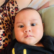 Dobrodosao u Loru Misa Misic, Elvis Ejjub Kasemović, Dr House, Zeljko  Krajnovic, Vladimir Bodin Vučković, SnezanaDejan Majer, Dejan Deki,  Inspiron Dell, Sanja Lukic Koturovic, Jadranka Mitrovic, Rózsa Sztojkó,  Taos