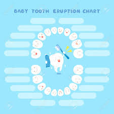 Cute Cartoon Healthy Baby Tooth Eruption Chart