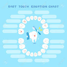 cute cartoon healthy baby tooth eruption chart