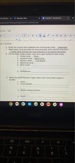 Review Sheet The Language Of Anatomy - Review Sheet The Language Of Anatomy  Regional Terms Describe - Studocu