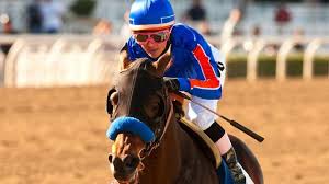 Chantal Sutherland Becomes First Lady Jockey Ever To Win The Hollywood Gold Cup Chantal Jockey Sport Of Kings