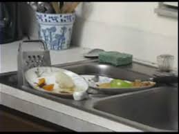 german cockroaches at home in the sink