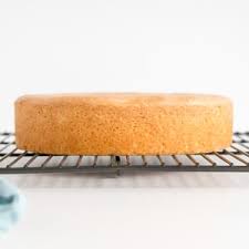 How To Bake Flat Cakes Liv For Cake