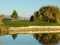 Eagle Amateur