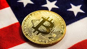 Man with down syndrome is the best uncle ever. How Is Bitcoin Btc Going To Come Out Of November 2020 Cryptocurrencies Personal Financial