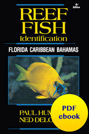 Pdf Ebooks Reef Fish Reef Creature And Reef Coral
