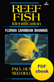 pdf ebooks reef fish reef creature and reef coral