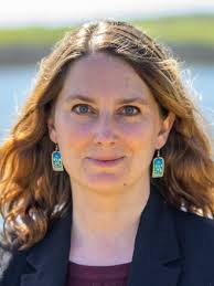 Minnesota Power seeks $25 million from Legislature for power line upgrade