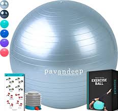 Pavandeep Exercise Ball Chair Bpa Free Silver M 65cm