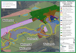 Image result for Ascolepis erythrocephala