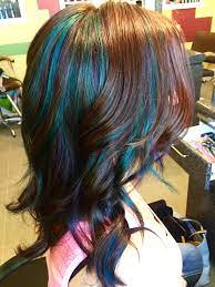 Teal And Purple Highlights With Brown Haircolor By Lauren Woodham Laurenwoodhambeauty Burlington Nc Teal Hair Highlights Hair Styles 2017 Hair Dye Colors