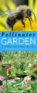 Creating A Pollinator Garden Give Bees A Helping Hand How To Pollinator Garden The Post Cr Pollinator Garden Pollinator Garden Design Pollinator Plants