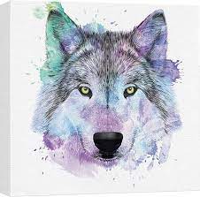 Amazon.com: wall26 - Fun and Colorful Splattered Watercolor Wolf - Canvas  Art Home Art - 24x24 inches: Posters & Prints