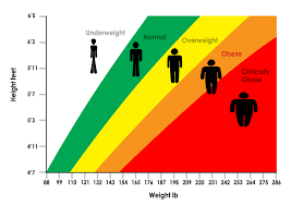 the link between bmi longevity 40fit