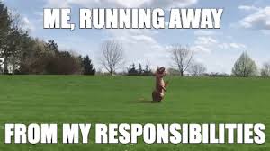 So i guess that i should make the sub run into a different thread rather then the animated gif. Running Away From My Responsibilities Gifs Get The Best Gif On Giphy