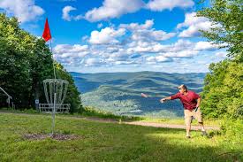 Image result for disc golf