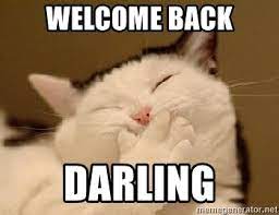 Discover and share welcome back funny quotes. Welcome Back Darling Funny Cat 2014 Meme Generator