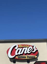 Image result for Canes