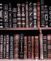 pin de trash panda em i solemnly swear i am up to no good