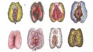 Fotos de vagina sana
