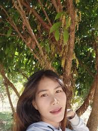 มีใครเห็นโพสนี้ไหมค่ะ  เนื่องจากตอนนี้เน็ตเล่นไม่ใด้เลยมีใครเป็นไหมหรือเป็นแค่เน็ตเราคนเดียวค่ะ