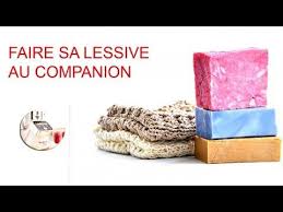 Epingle Sur Companion