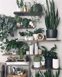 Lassige Chilllounge Aus Einem Alten Trampolin Tolle Idee Diy Trampolin Chill 489233 Garten Lassige In 2020 Hauspflanzen Zimmerpflanzen Dekor Diy Blumenstander