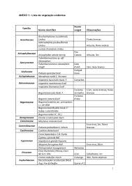 Image result for Disperis thomensis